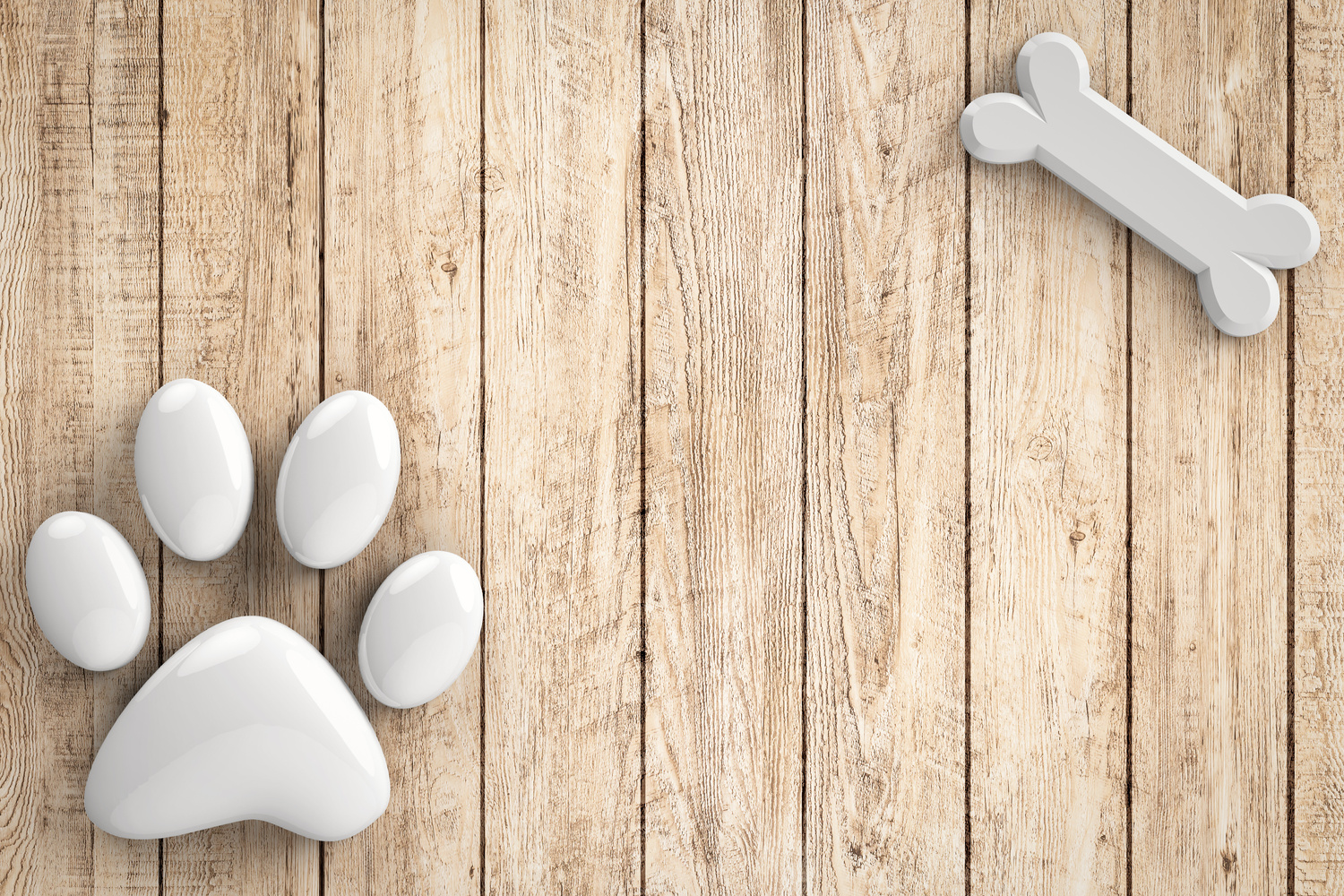 dog bones and dog paw