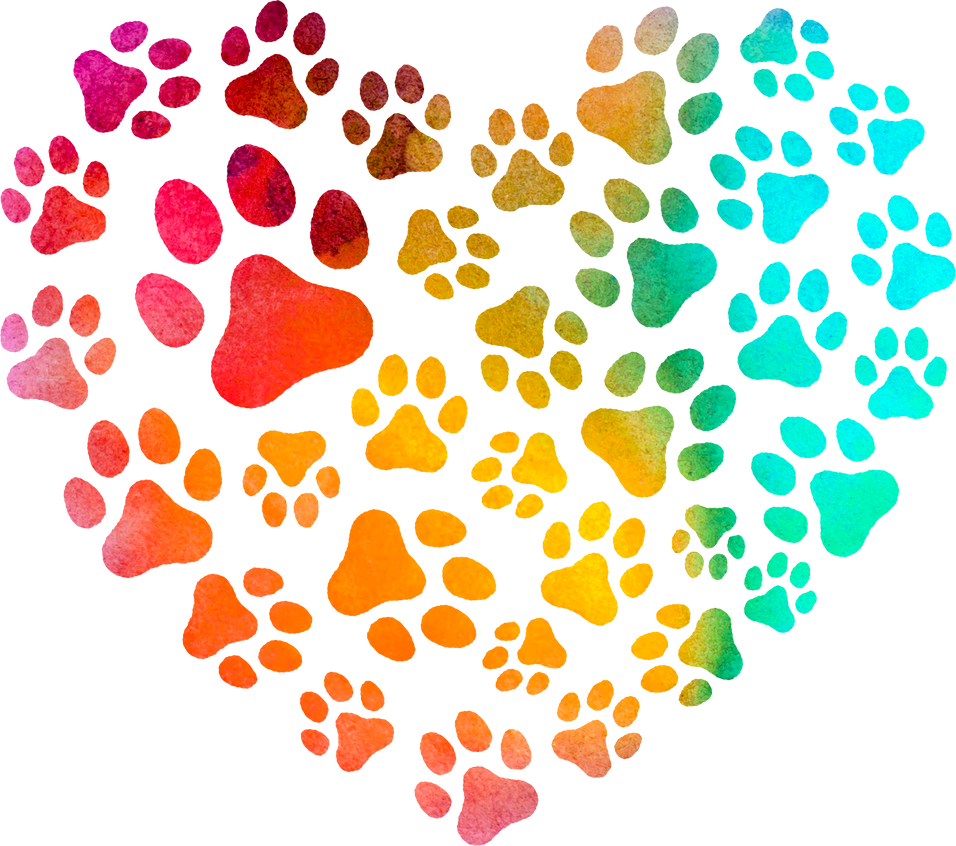 Watercolor heart dog paws